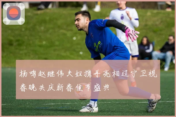 杨鸣赵继伟夫妇携手亮相辽宁卫视春晚共庆新春佳节盛典